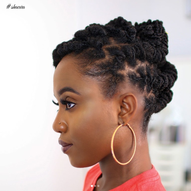 HEAT FREE HAIRSTYLES FOR NATURAL HAIR