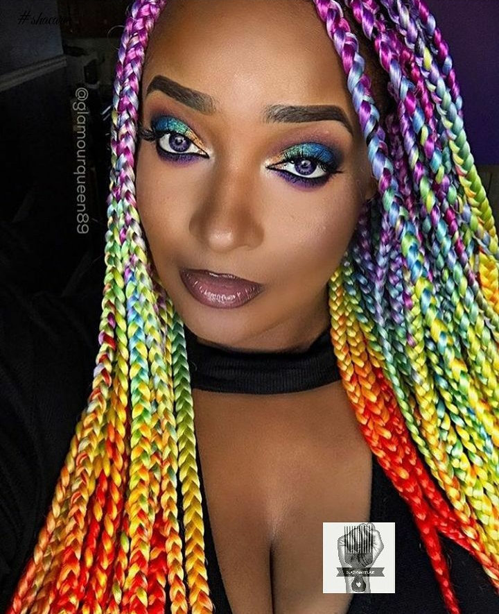 Multicoloured Braid Style: Would You Love To Rock It?
