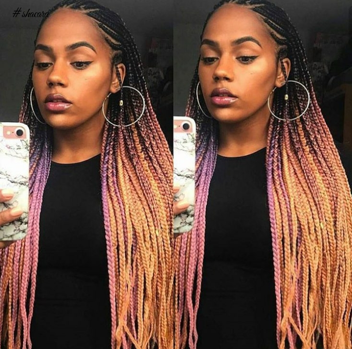 Multicoloured Braid Style: Would You Love To Rock It?