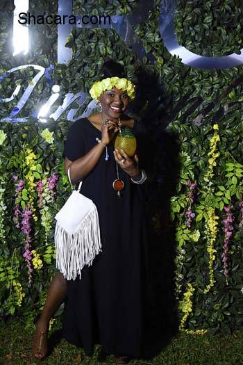Banky W, Dorcas Shola Fapson, Olisa Adibua, Ebuka, More Stars Attend The Ciroc Pineapple Launch