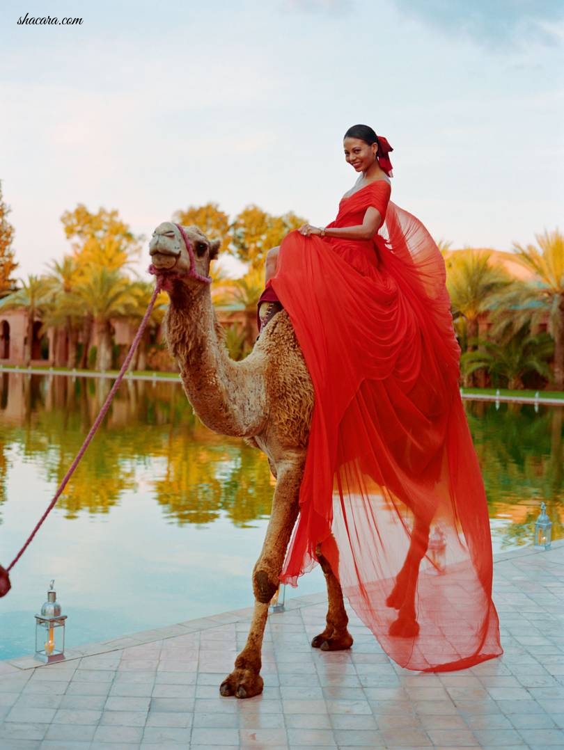 Exclusive Images From Inside Idris & Sabrina Elba’s Beautiful Moroccan Wedding