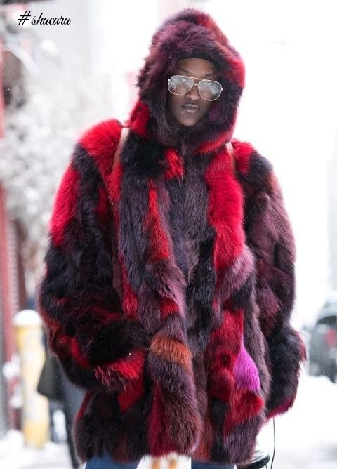 Fur Street Styles From New York Fashion Week 2017