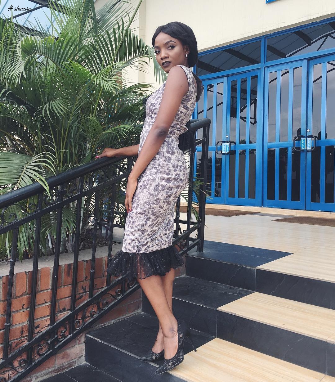 SONGBIRD SIMI FASHION COLLECTION