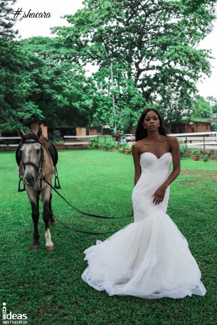 Elizabeth & Lace Bridal Presents the Happy & Free Spirited Bride in New Shoot!