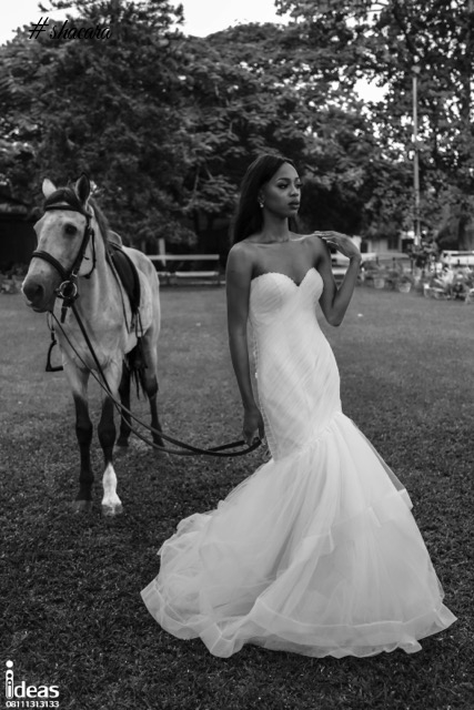 Elizabeth & Lace Bridal Presents the Happy & Free Spirited Bride in New Shoot!