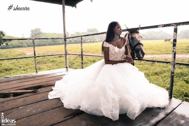 Elizabeth & Lace Bridal Presents the Happy & Free Spirited Bride in New Shoot!