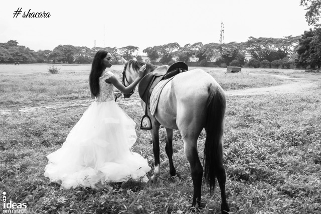 Elizabeth & Lace Bridal Presents the Happy & Free Spirited Bride in New Shoot!