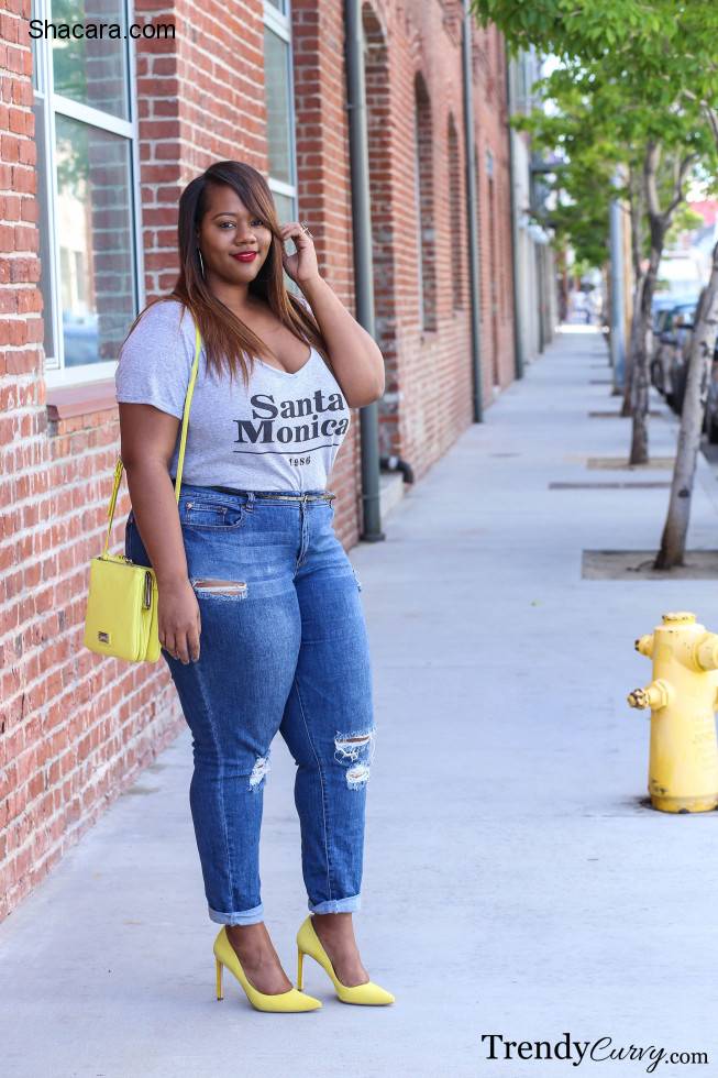 trendy curvy
