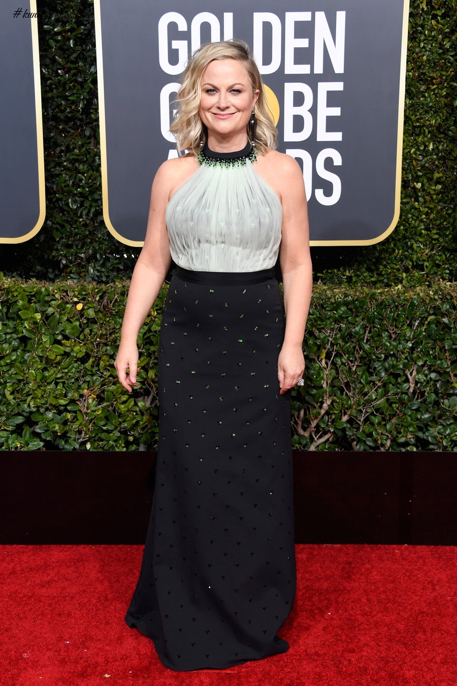 Every Look From The 2019 Golden Globes Awards