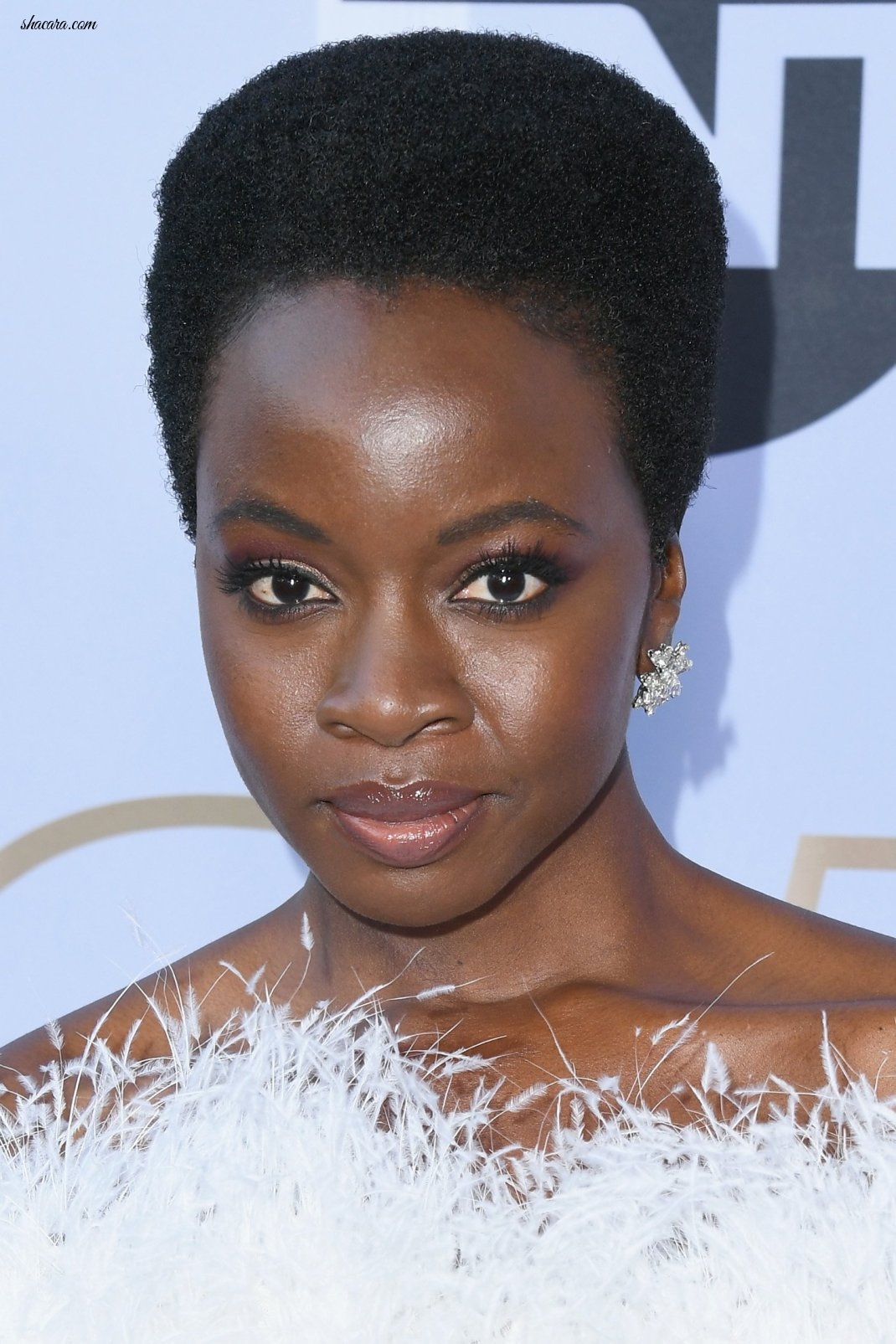 Wakanda Ladies Lupita & Danai Gurira Shut Down The SAG Awards 2019, And Here Are The Dresses Why!