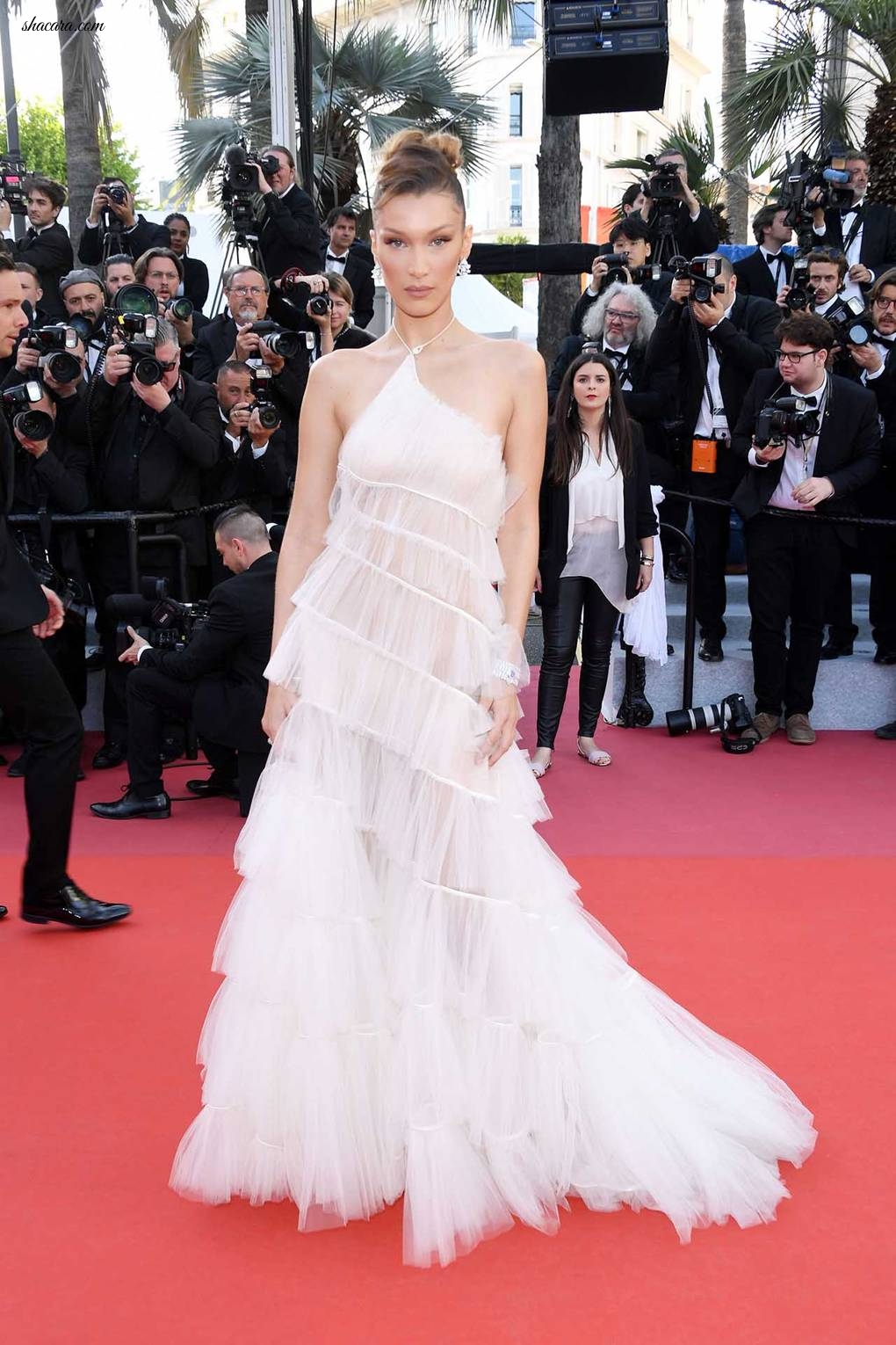 Cannes Film Festival Red Carpet 2019